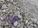 Dachstein 24.-27.08.2006-thb52.jpg